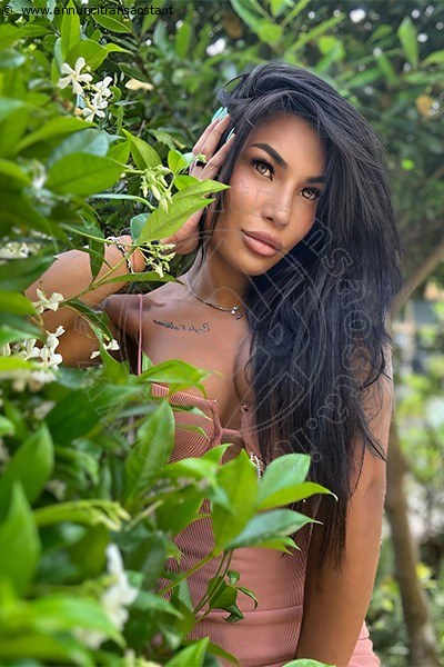 Foto Mandy Asiatica  Incontri Transescort Bologna